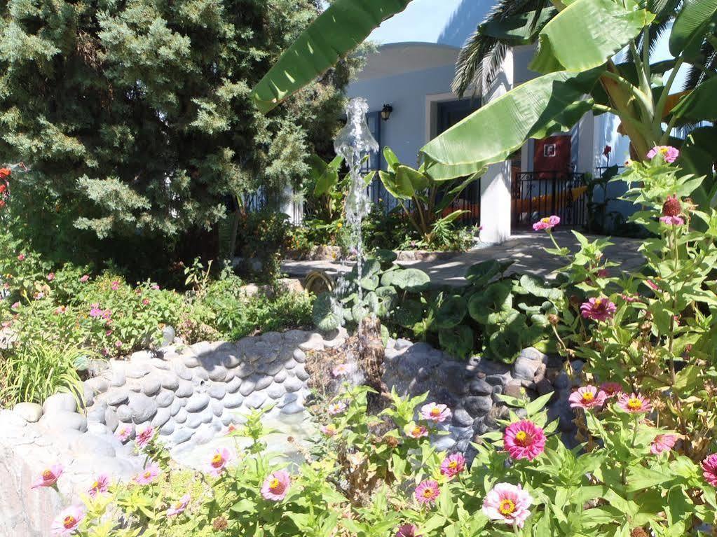 Blue Sky Hotel - Petra - Lesvos - Greece المظهر الخارجي الصورة